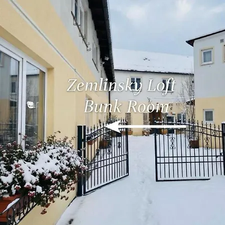 호텔 Zemlinsky Loft Bunk 파이어바흐