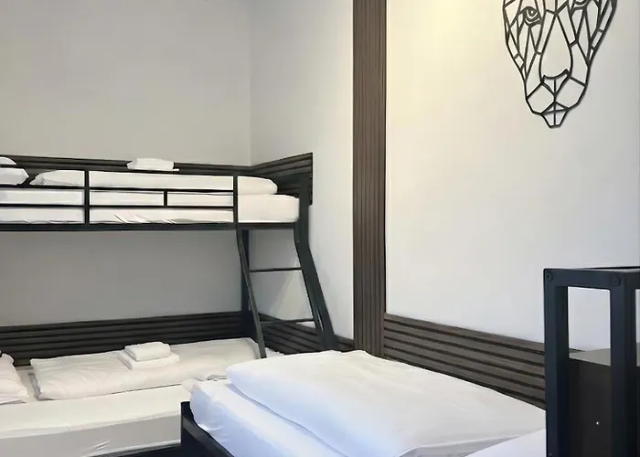 Zemlinsky Loft Bunk * パイエルバッハ