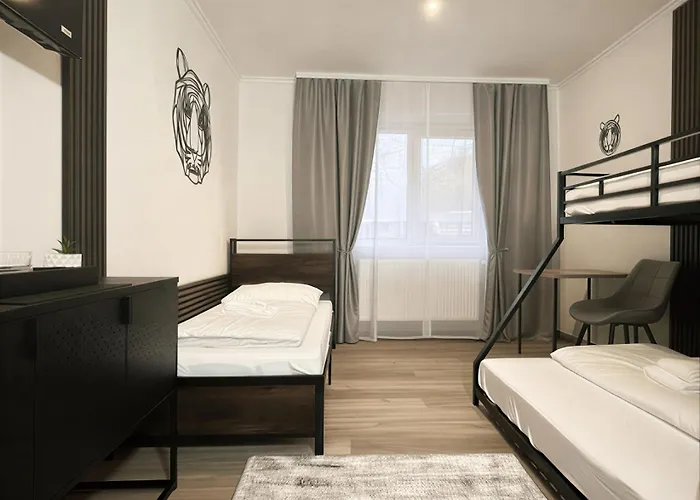 Zemlinsky Loft Bunk *