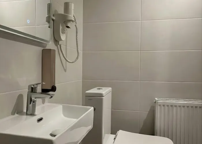 ホテル Zemlinsky Loft Bunk *